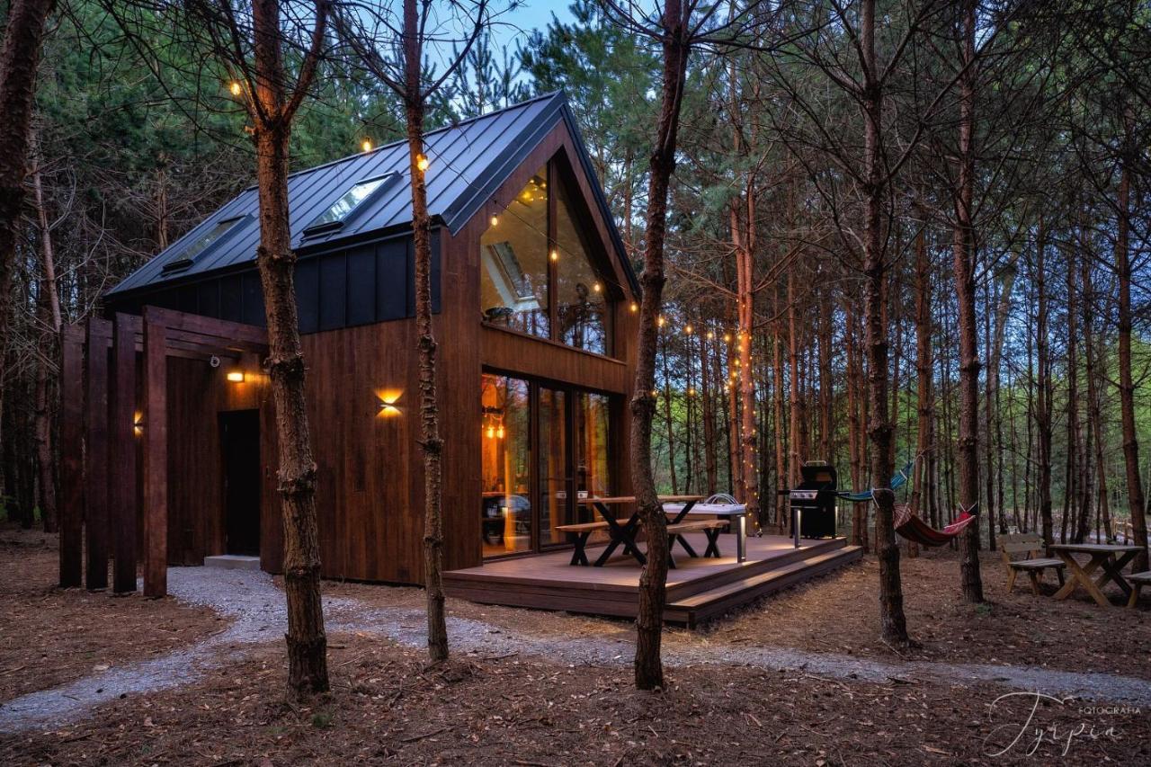 Dziupla House Villa Czarna  Dış mekan fotoğraf