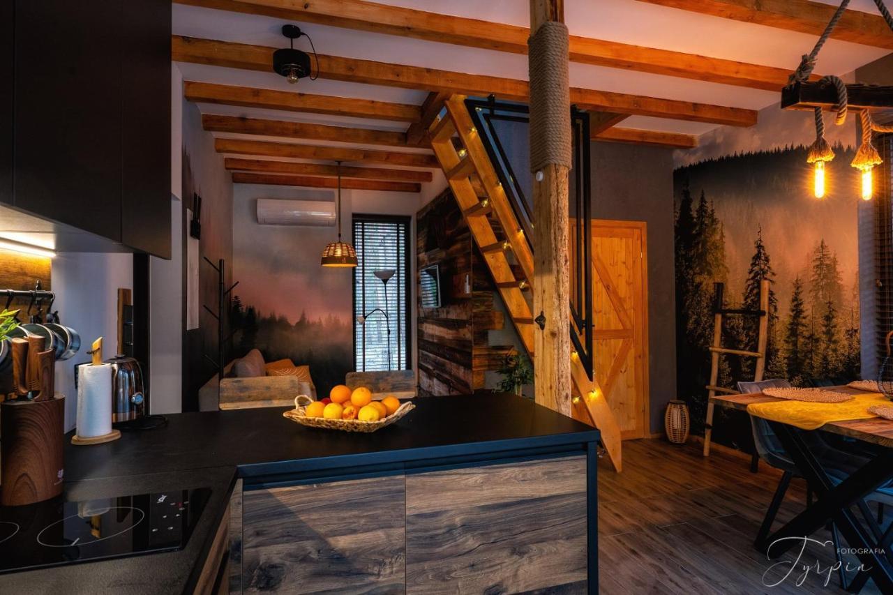 Dziupla House Villa Czarna  Dış mekan fotoğraf