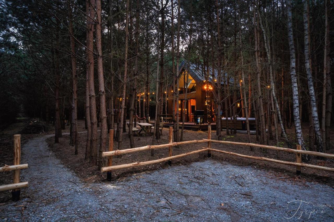 Dziupla House Villa Czarna  Dış mekan fotoğraf