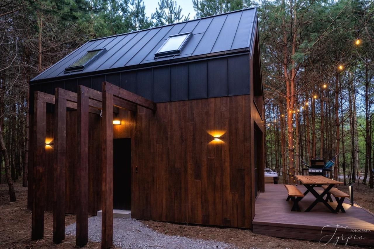 Dziupla House Villa Czarna  Dış mekan fotoğraf