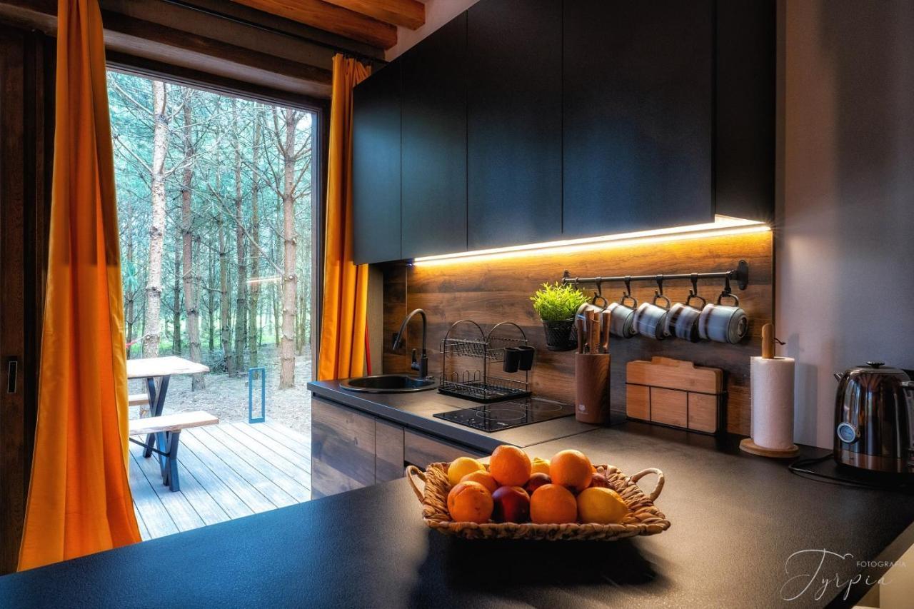 Dziupla House Villa Czarna  Dış mekan fotoğraf